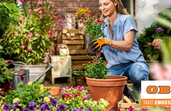 V Qcentru Ptuj poskrbijo za vse vaše želje