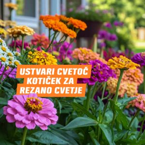 Zelena in cvetoča pomlad v Qcentru Ptuj