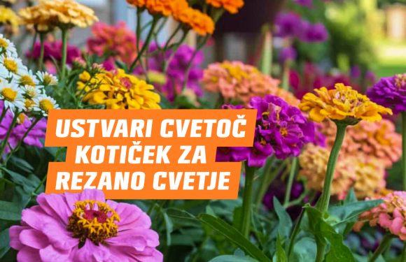 Zelena in cvetoča pomlad v Qcentru Ptuj