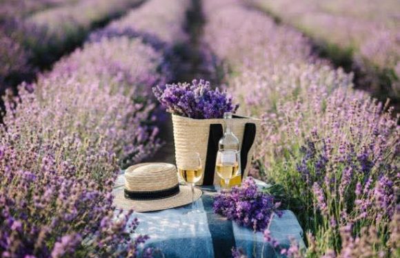 Najlepša doživetja v čudovitem poletju vas čakajo v Qcentru Ptuj